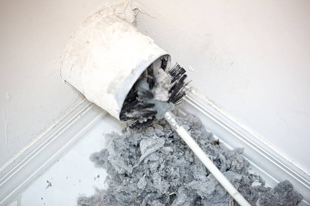 Best Duct Cleaning Specialists  in South Lancaster, MA